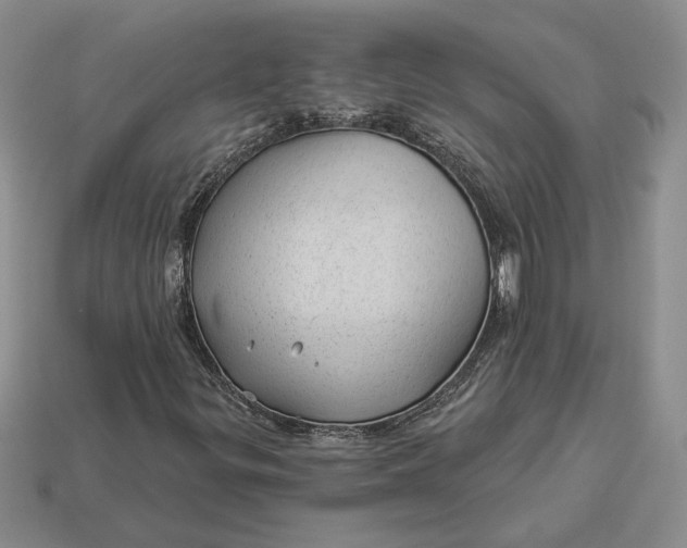 X0000112981299200909171330