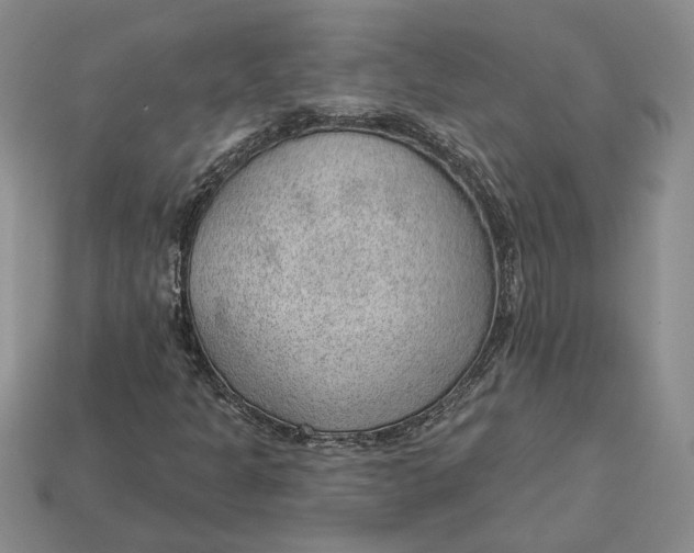 X0000112981301200909171330