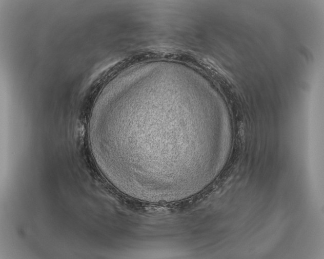 X0000112981302200909171330