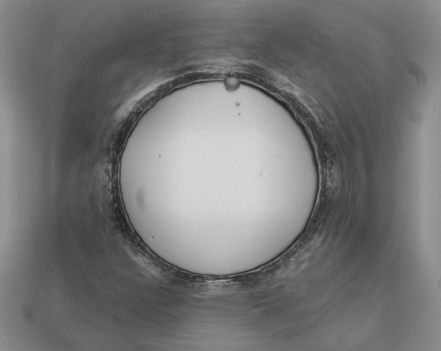 X0000112981304200909171330