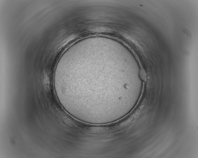 X0000112981305200909171330