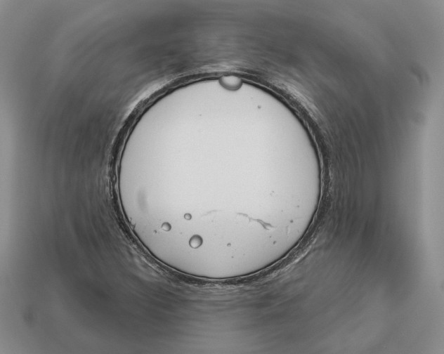 X0000112981308200909171330