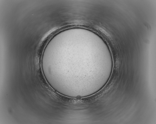 X0000112981310200909171330