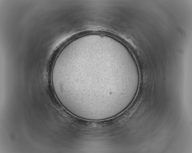 X0000112981311200909171330