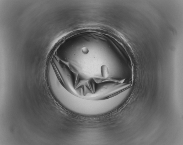 X0000112981312200909171330