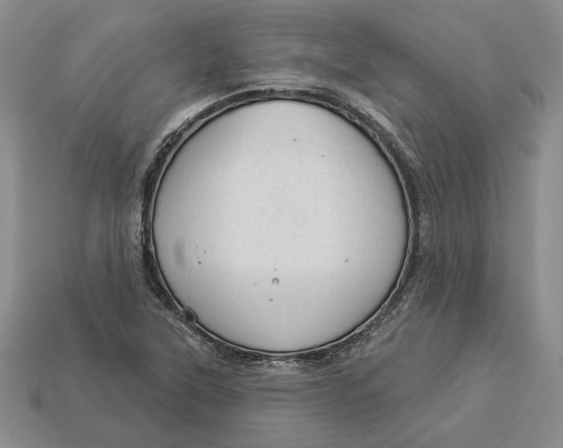 X0000112981315200909171330