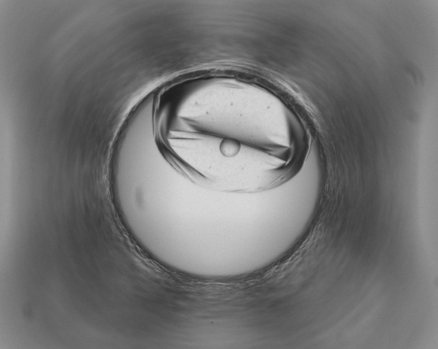 X0000112981316200909171330