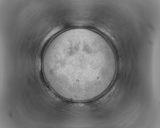 X0000112981317200909171330