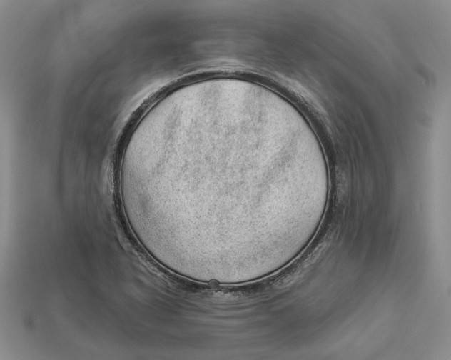 X0000112981318200909171330