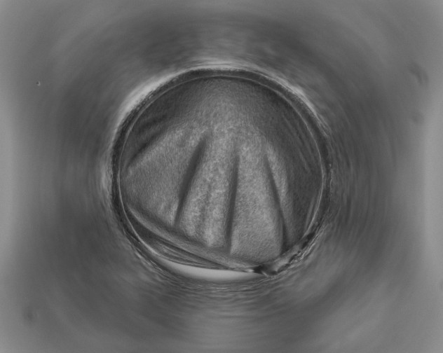 X0000112981319200909171330