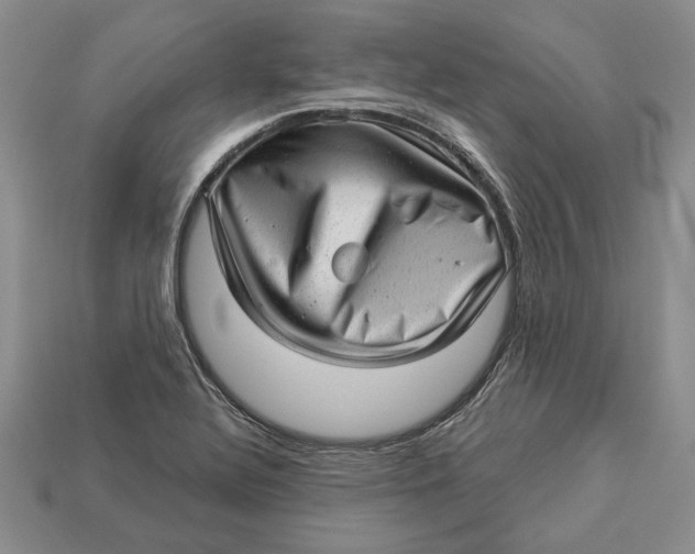 X0000112981320200909171330