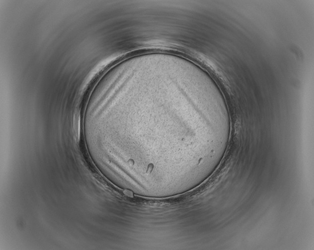 X0000112981323200909171330