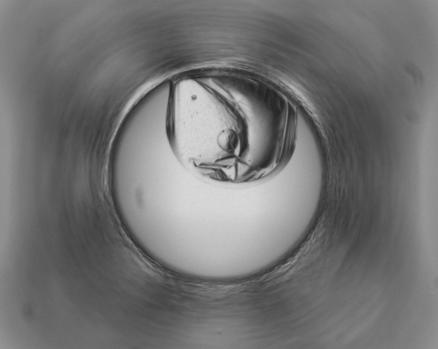 X0000112981324200909171330