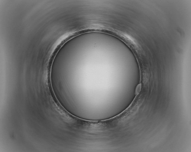 X0000112981326200909171330