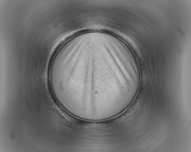 X0000112981327200909171330