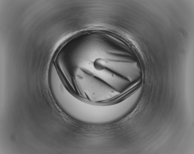 X0000112981328200909171331