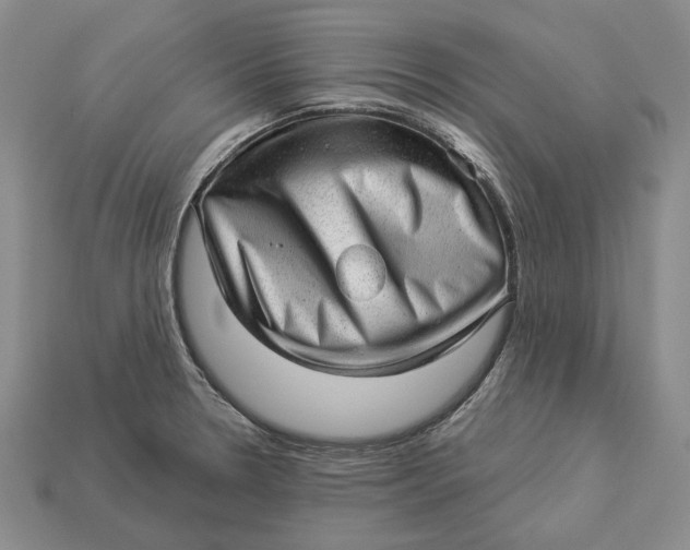 X0000112981330200909171331