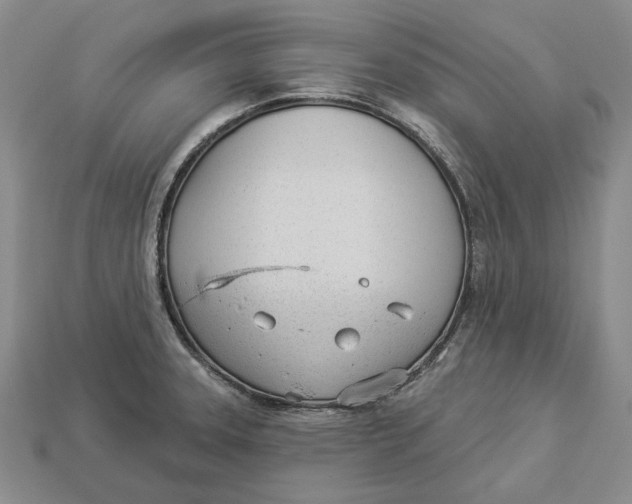 X0000112981331200909171331