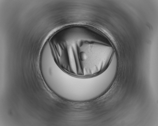 X0000112981332200909171331