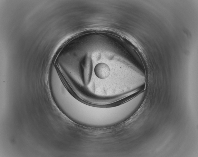 X0000112981334200909171331