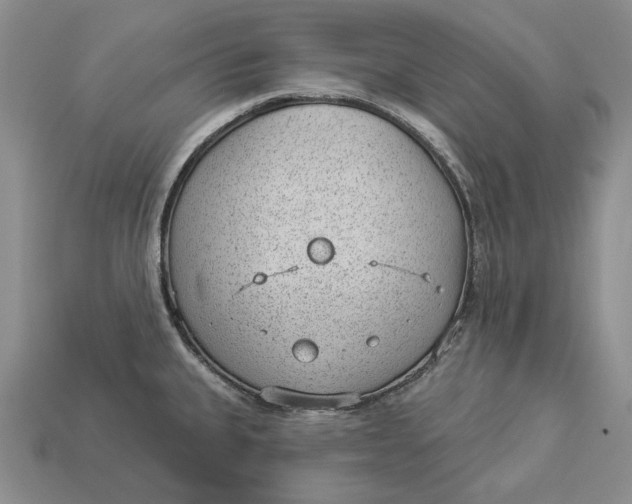 X0000112981335200909171331