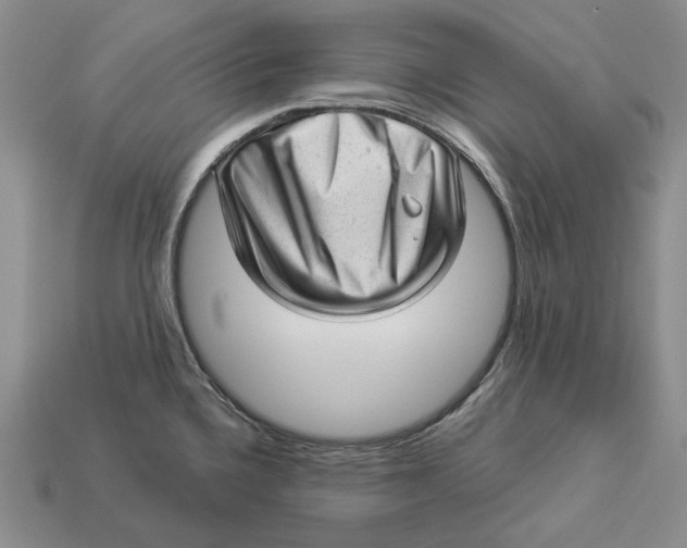 X0000112981336200909171331