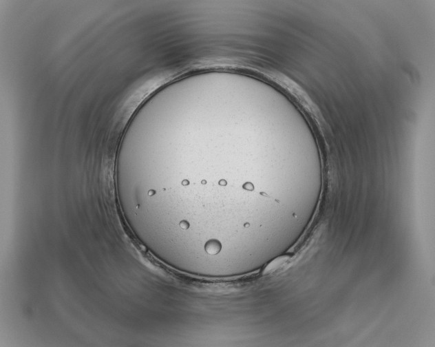 X0000112981337200909171331