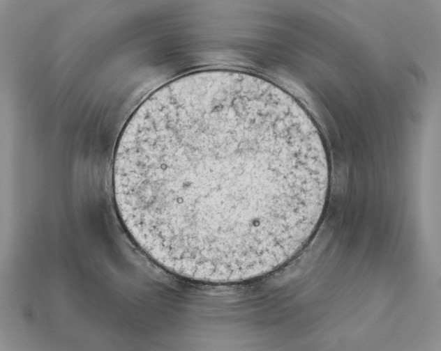 X0000112981338200909171331