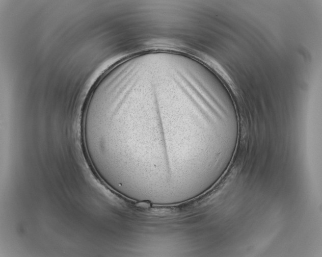 X0000112981339200909171331