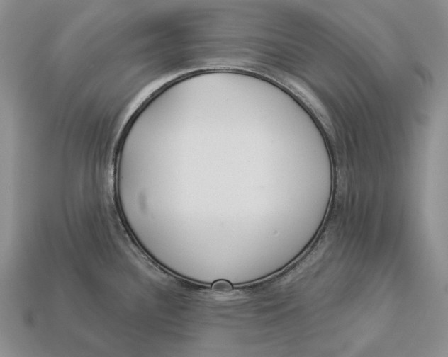 X0000112981340200909171331