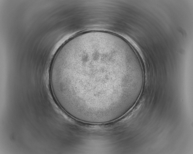 X0000112981341200909171331