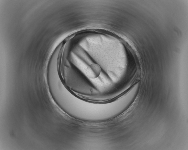 X0000112981342200909171331