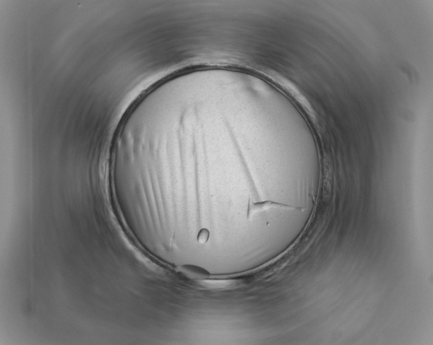 X0000112981343200909171331