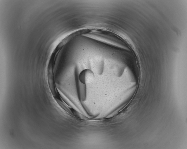 X0000112981344200909171331