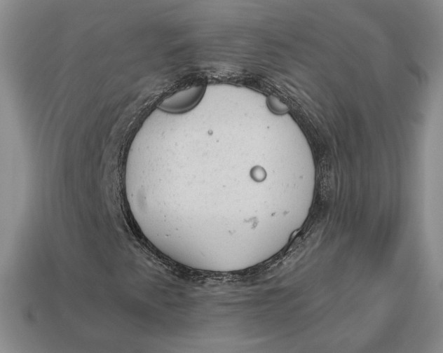 X0000112981345200909171330