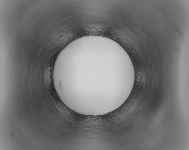 X0000112981346200909171330