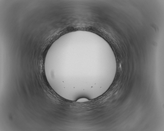 X0000112981348200909171330