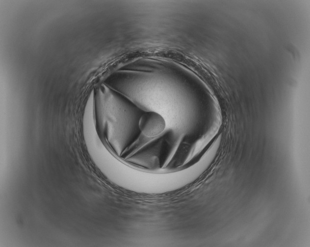 X0000112981349200909171330