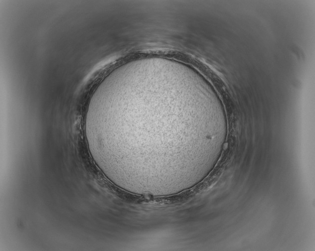 X0000112981351200909171330