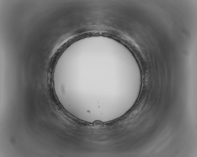 X0000112981352200909171330