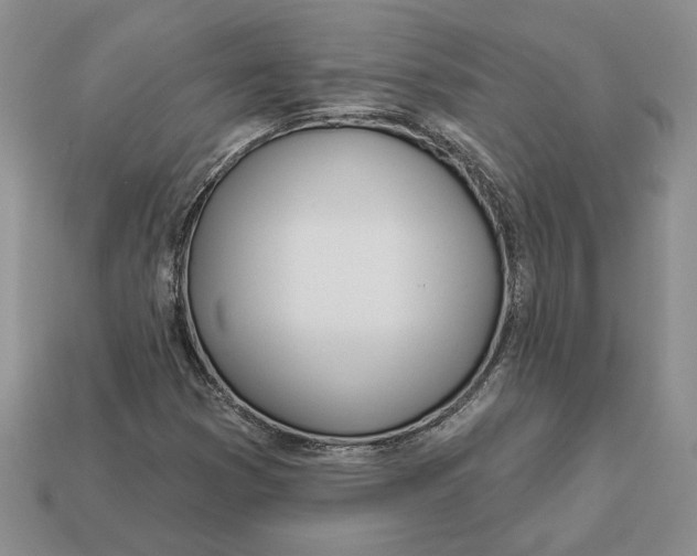 X0000112981353200909171330