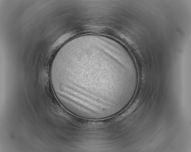 X0000112981354200909171330