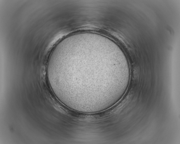 X0000112981355200909171330