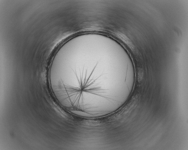 X0000112981356200909171330