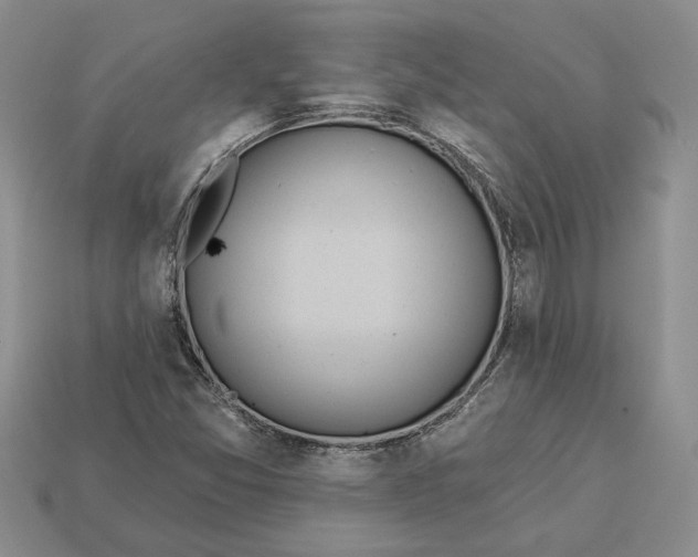 X0000112981357200909171330