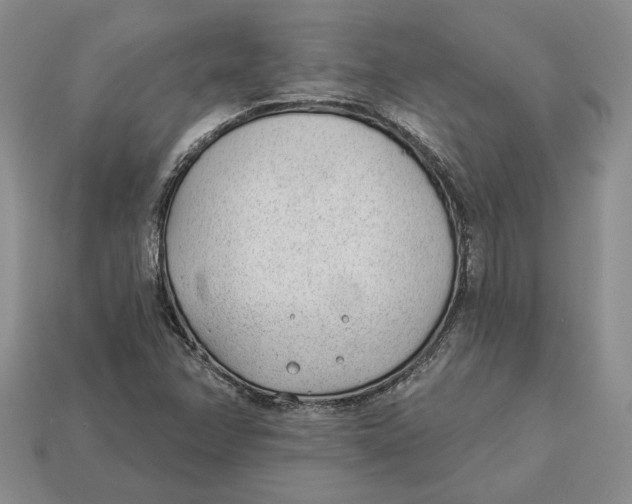 X0000112981358200909171330