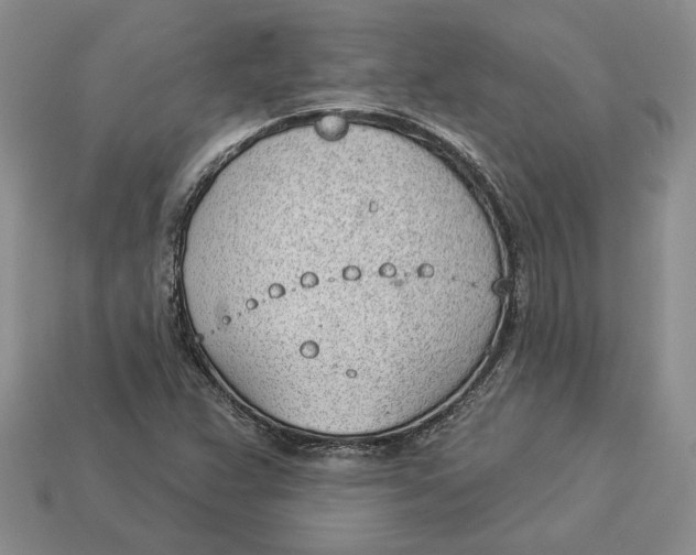 X0000112981359200909171330