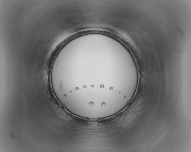 X0000112981360200909171330