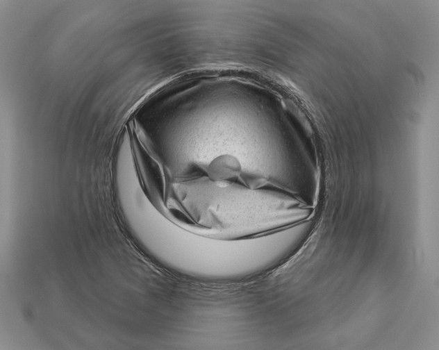 X0000112981361200909171330