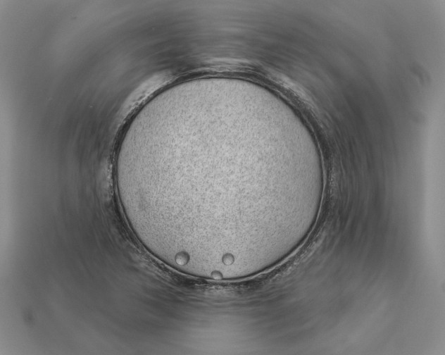 X0000112981362200909171330